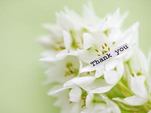 【完全ガイド】金箔の種類と選び方、DIYやインテリアに活かす最良の使い方と信頼できる販売店の選び方