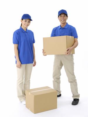 乗馬愛好家必見！最新トレンドと安全性にこだわった乗馬用品ブランド一挙紹介