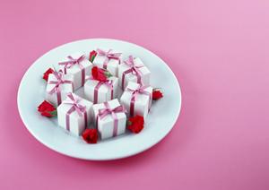 栄養にこだわった国産ドッグフード